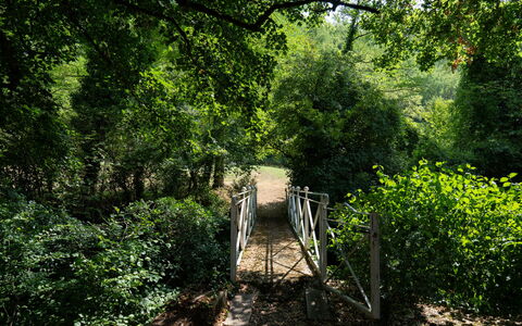 Villa Paola: Foglia, Ramo, Verde, Ambiente Naturale, Albero, Natura, Legna, Vegetazione, Paesaggio Naturale, Foresta