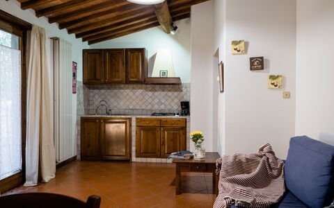 Alloggio:&nbsp;Olivi