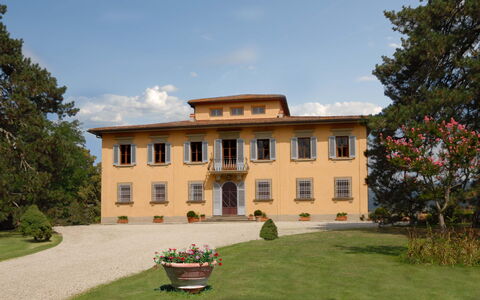 Villa Del Conte: Estate, Proprietà, Costruzione, Casa, Dimora, Casa, Maniero, Villa, Una Casa Maestosa