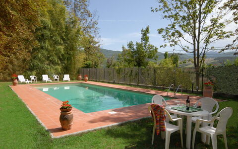 Villa Del Conte: Piscina, Proprietà, Backyard, Erba, Tempo Libero, Immobiliare, Estate, Casa, Cortile, Albero