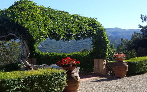 Villa Del Conte: Giardino, Vegetazione, Albero, Arbusto, Giardino Botanico, Paesaggio Naturale, Hedge, Botanica, Pianta, Cielo