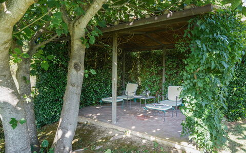 Villa San Lorenzo: Botanica, Albero, Pergola, Costruzione, Casa, Architettura, Pianta, Tempo Libero, Shade