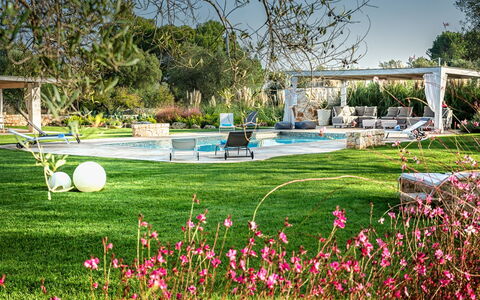 Trulli Itaka: Giardino, Prato, Erba, Giardino Botanico, Albero, Primavera, Botanica, Fiore, Pianta, Parco