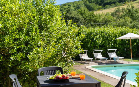 Villa Il Nido: Acqua, Pianta, Mobilia, Comunita 'Impianto, Verde, Mobili Da Esterno, Tavolo, Piscina, Fiore, Albero