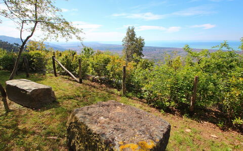 Villa Miramare: Natura, Natura Selvaggia, Ambiente Naturale, Albero, Paesaggio Naturale, Riserva Naturale, Roccia, Montagna, Cielo, Foresta