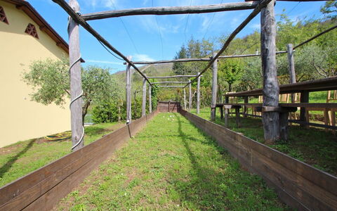 Villa Miramare: Albero, Ponte, Erba, Area Rurale, Immobiliare, Passerella, Architettura, Nonbuilding Struttura, Lotto, Pianta