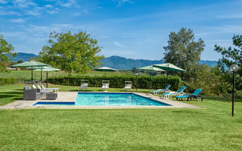 Villa La Collina: Pianta, Cielo, Nube, Ombrello, Acqua, Piscina, Albero, Sedia, Shade, Mobili Da Esterno