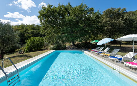 Casa Corella: Acqua, Pianta, Cielo, Proprietà, Piscina, Nube, Azzurro, Albero, Shade, Rettangolo