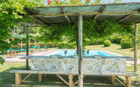 Villa Le Volte: Baldacchino, Pergola, Mobilia, Botanica, Erba, Padiglione, Shade, Tavolo, Albero, Giardino