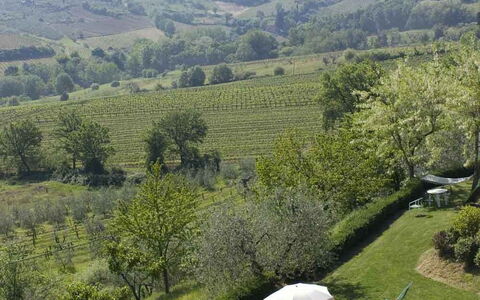 Agriturismo Paterno: Vegetazione, Paesaggio Naturale, Highland, Riserva Naturale, Ambiente Naturale, Natura Selvaggia, Hill Station, Albero, Collina, Montagna