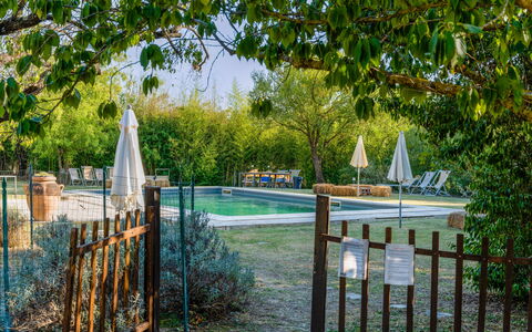 Agriturismo Il Molinello: Pianta, Acqua, Recinzione, Albero, Paesaggio Naturale, Shade, Woody Impianto, Legna, Erba, Home Scherma