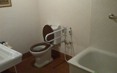 Spazi generosi intorno al WC, una piccola doccia e una solida maniglia rendono il bagno facile da usare per persone con disabilità