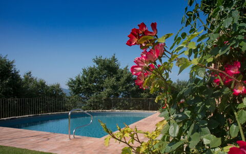 Villa Mandorlo: Acqua, Cielo, Fiore, Pianta, Proprietà, Natura, Piscina, Vegetazione, Albero, Petalo
