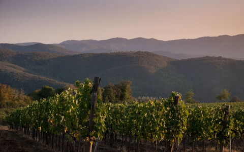 Villa Mandorlo: Pianta, Cielo, Montagna, Paesaggio Naturale, Highland, Lotto, Agricoltura, Alba, Geografia Montane, Paesaggio