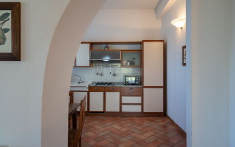 rocche-di-valiano-chianti-castelnuovo-berardenga-multiproprietà-geranio-cucina