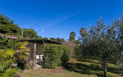 Alloggio:&nbsp;Straccoligno 290.2