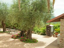 Agriturismo Musso - Diano Arentino