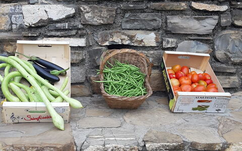 Casa Ilaria - Diano Marina: Cibo, Ingrediente, Natural Foods, Legna, Spazio Pubblico, Erba