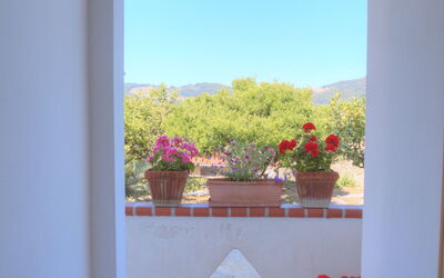Alloggio:&nbsp;Flowers Of Andora - Rose