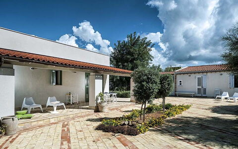 Bianca: Arbusto, Zona Residenziale, Casa, Lotto, Shade, Estate, Villetta, Giardino, Landscaping, Cortile