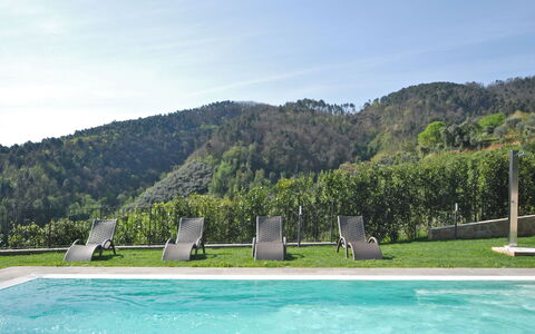 Montefiore: Piscina, Tempo Libero, Albero, Vacanza, Paesaggio, Montagna, Ricorrere, Baia, Turismo, Costa