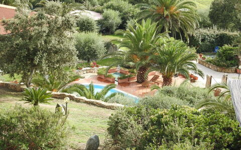 Residence Villa Smeralda: Pianta, Comunita 'Impianto, Costruzione, Arecales, Albero, Lotto, Erba, Impianto Terrestre, Biome, Paesaggio Naturale