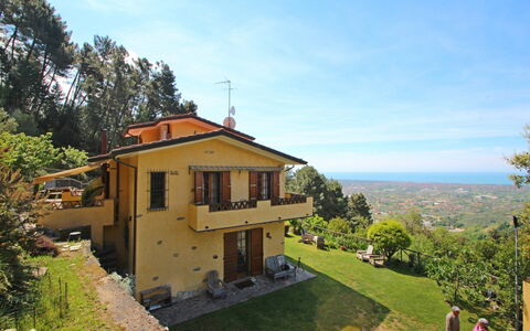 Villa La Collinetta: Cielo, Pianta, Costruzione, Nube, Proprietà, Finestra, Albero, Lotto, Casa, Legna