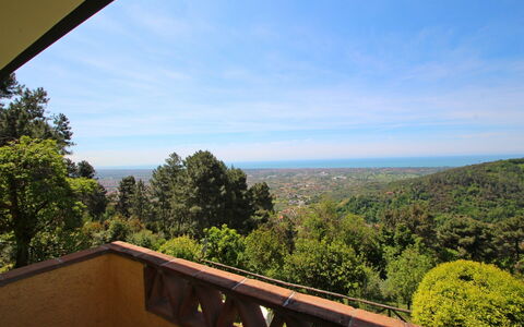 Villa La Collinetta: Nube, Cielo, Proprietà, Natura, Foglia, Legna, Architettura, Albero, Vegetazione, Mattina