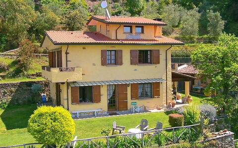 Villa La Collinetta: Pianta, Finestra, Proprietà, Costruzione, Verde, Albero, Casa, Giallo, Vegetazione, Villetta