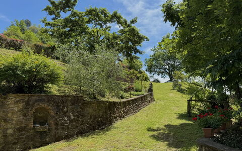 Anfora!!: Erba, Verde, Albero, Foglia, Vegetazione, Paesaggio Naturale, Arbusto, Paesaggio, Area Rurale