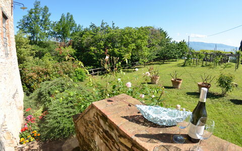 Bettina!: Proprietà, Erba, Immobiliare, Casa, Albero, Giardino, Villetta, Paesaggio, Area Rurale, Lotto