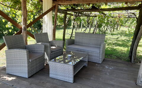 Bettina!: Pianta, Shade, Legna, Divano, Mobili Da Esterno, Albero, Interior Design, Erba, Villetta, Rettangolo