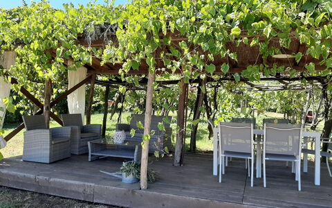 Bettina!: Pianta, Shade, Botanica, Cielo, Arbusto, Erba, Albero, Panchina, Groundcover, Pianta Fiorita