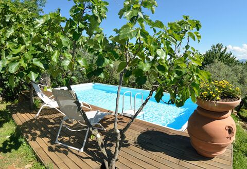 Bettina!: Proprietà, Albero, Pianta, Immobiliare, Tempo Libero, Vacanza, Casa, Piscina, Fiore, Estate