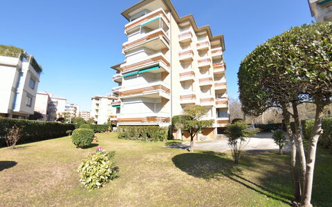 Carnevale: Proprietà, Zona Residenziale, Architettura, Immobiliare, Costruzione, Casa, Appartamento, Uso Misto, Urban Design, Quartiere
