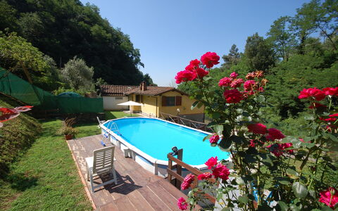 Casa Milena: Piscina, Proprietà, Botanica, Fiore, Tempo Libero, Ricorrere, Pianta, Giardino, Vacanza, Villa