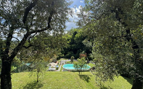 Casa Milena: Pianta, Comunita 'Impianto, Cielo, Albero, Paesaggio Naturale, Shade, Lotto, Vegetazione, Luce Del Sole, Biome