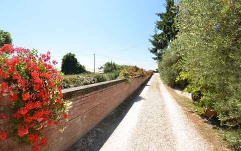 Casa Romana: Rosso, Albero, Fiore, Strada, Primavera, Pianta, Corsia, Botanica, Passerella, Arbusto