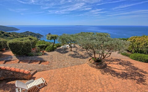 Raggio Di Sole Sull'argentario: Vegetazione, Proprietà, Costa, Riva, Mare, Albero, Immobiliare, Spiaggia, Baia, Oceano
