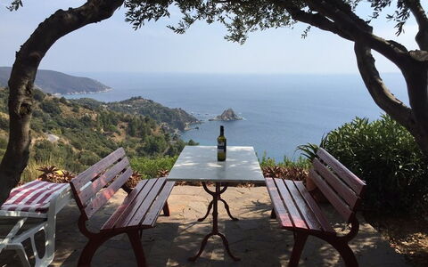 Raggio Di Sole Sull'argentario: Albero, Cielo, Mare, Vacanza, Turismo, Costa, Mobilia, Tavolo, Baia, Ricorrere