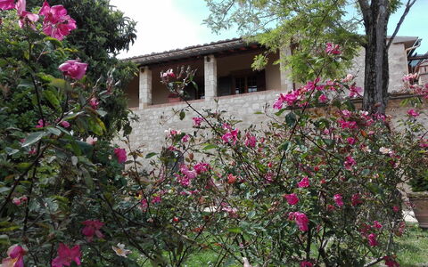Agriturismo La Pieve: Fiore, Proprietà, Pianta, Casa, Rosa, Botanica, Albero, Primavera, Area Rurale, Costruzione