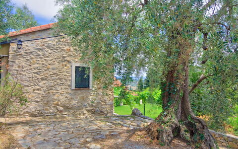 Country Home Il Passatempo: Albero, Proprietà, Casa, Parete, Immobiliare, Villetta, Woody Impianto, Pianta, Lotto, Area Rurale