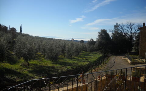 Casa Alla Minuccia Di Villa a Sesta: Cielo, Natura Selvaggia, Albero, Primavera, Nube, Area Rurale, Montagna, Collina, Paesaggio, Fiume