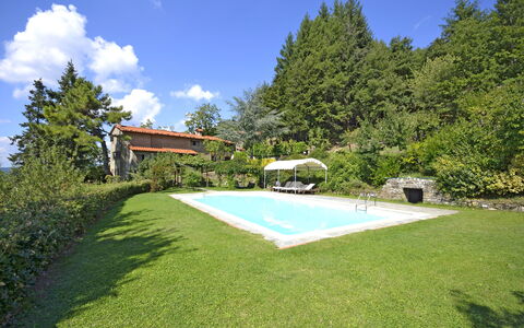 Villa Magnolia: Proprietà, Erba, Casa, Paesaggio Naturale, Estate, Immobiliare, Casa, Costruzione, Cortile, Backyard