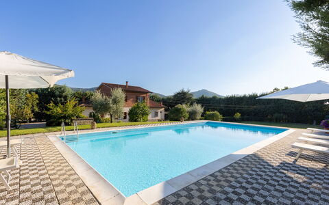 Villa Mimosa: Acqua, Cielo, Costruzione, Piscina, Pianta, Azzurro, Rettangolo, Architettura, Shade, Corpo D'Acqua