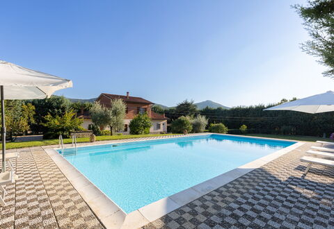 Villa Mimosa: Acqua, Cielo, Costruzione, Piscina, Pianta, Azzurro, Rettangolo, Architettura, Shade, Corpo D'Acqua