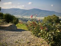 Panoramic view