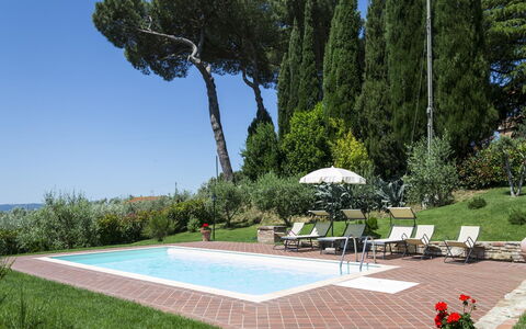 Villa Camelia: Proprietà, Albero, Erba, Prato, Immobiliare, Paesaggio, Landscaping, Parco, Giardino, Architettura