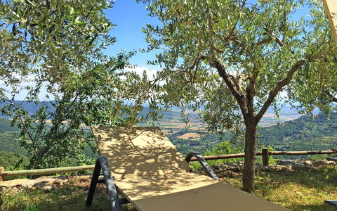 Villa Del Sole: Albero, Woody Impianto, Pianta, Riserva Naturale, Canoa Birch, Immobiliare, Aereo, Tavolo, Shade