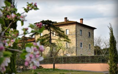 Villa Il Palazzo